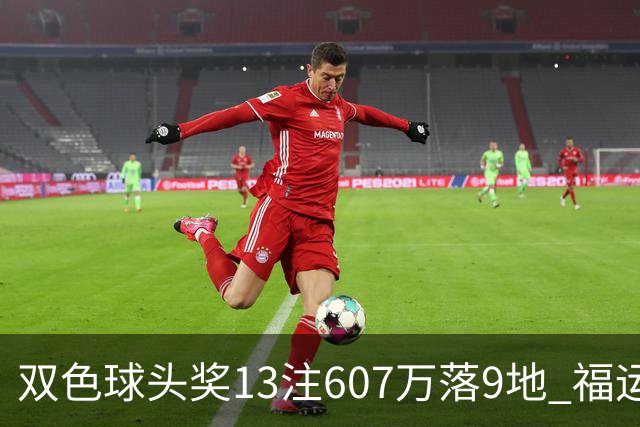 双色球头奖13注607万落9地 福运奖开1004万注